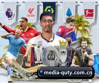 media-quty.com.cn APP
